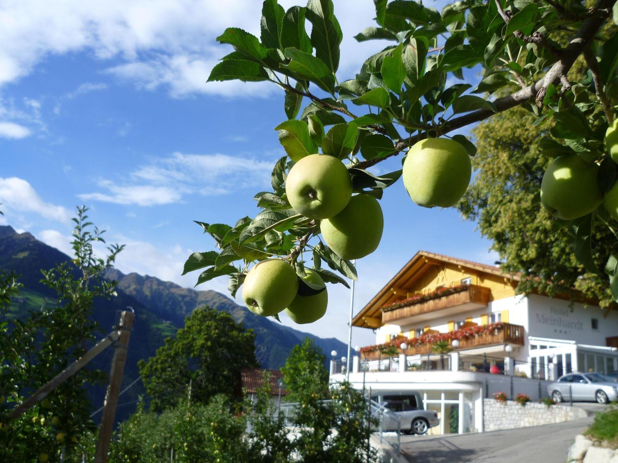 Hotel Meinhardt Scena Esterno foto